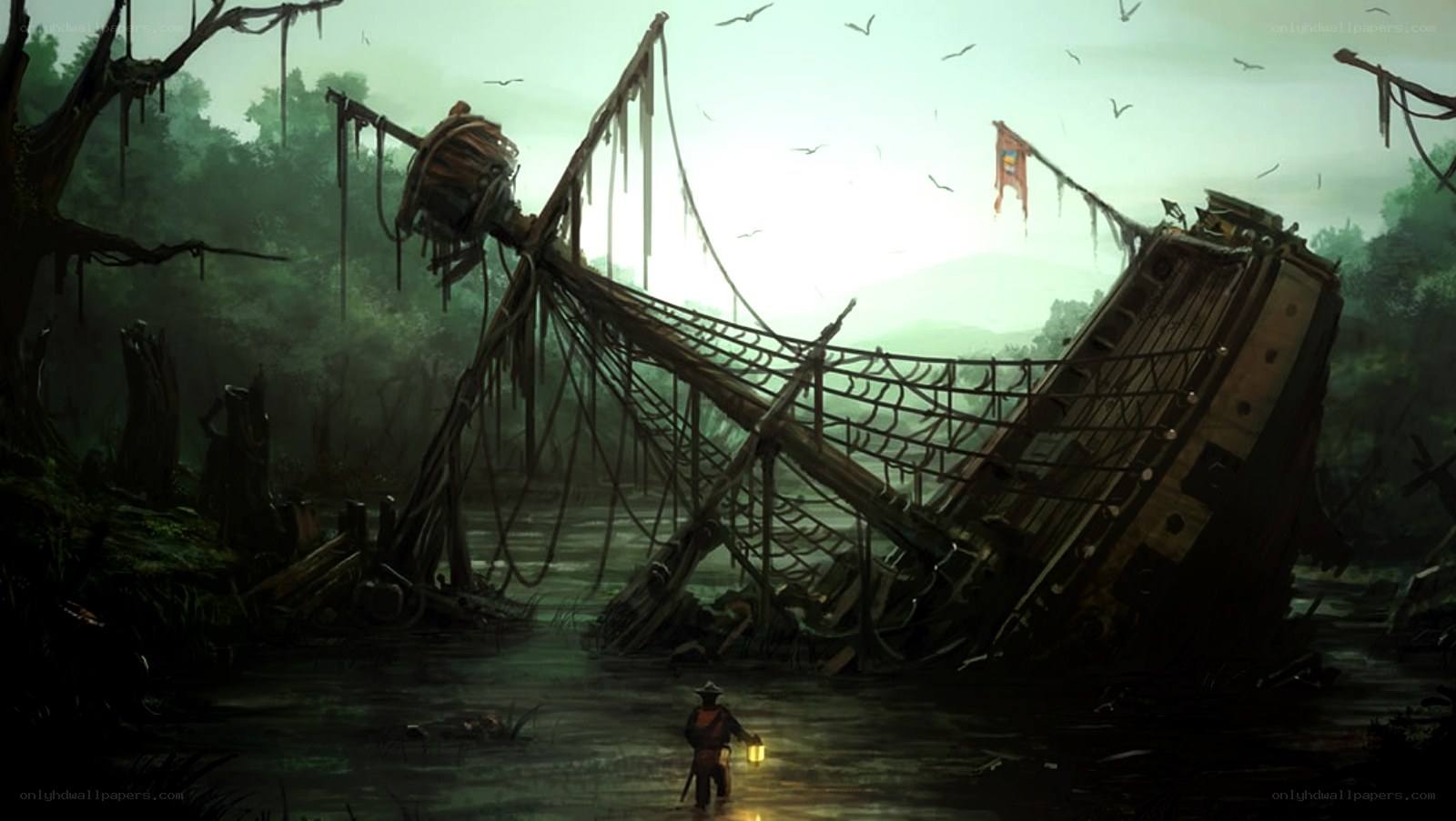 shipwreck in a swamp