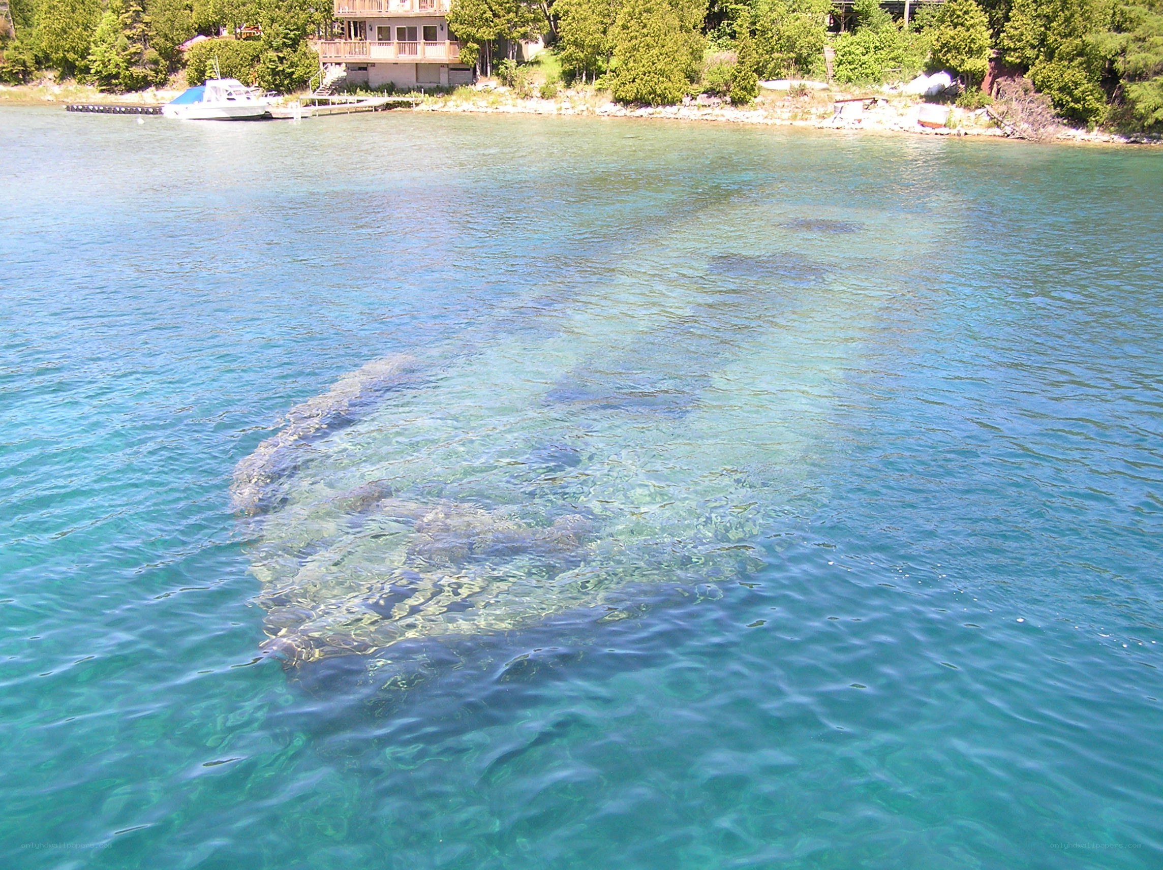 shipwreck in clear water