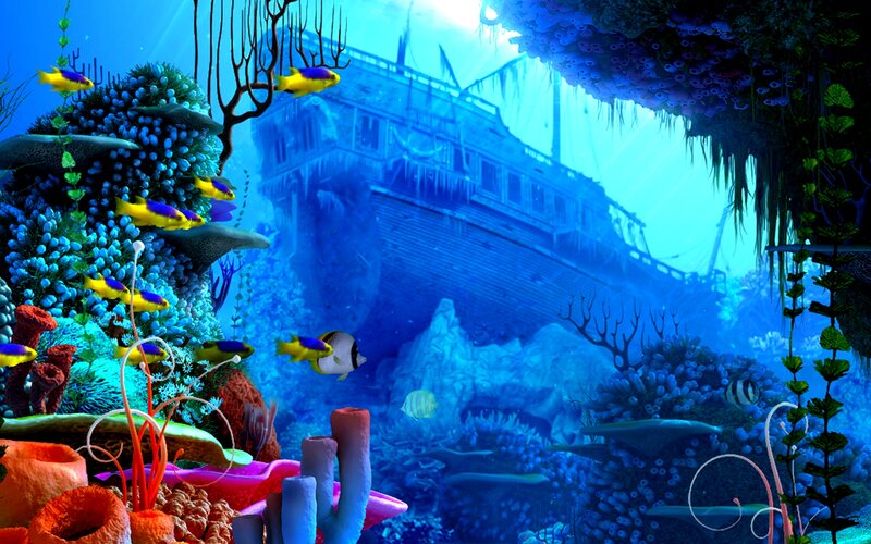 Shipwreck in Coral Reef