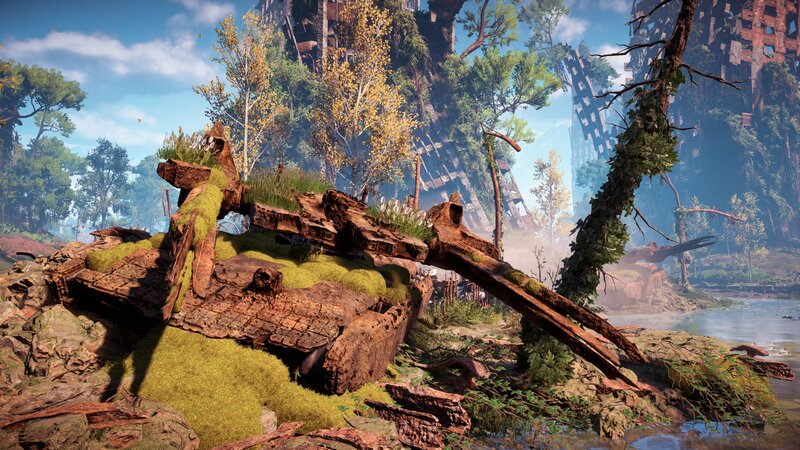 Shipwreck in Forest