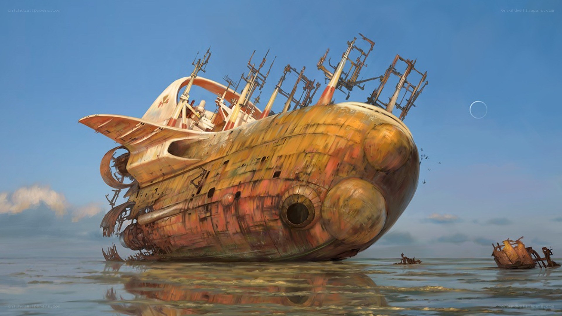 shipwreck in shallow water