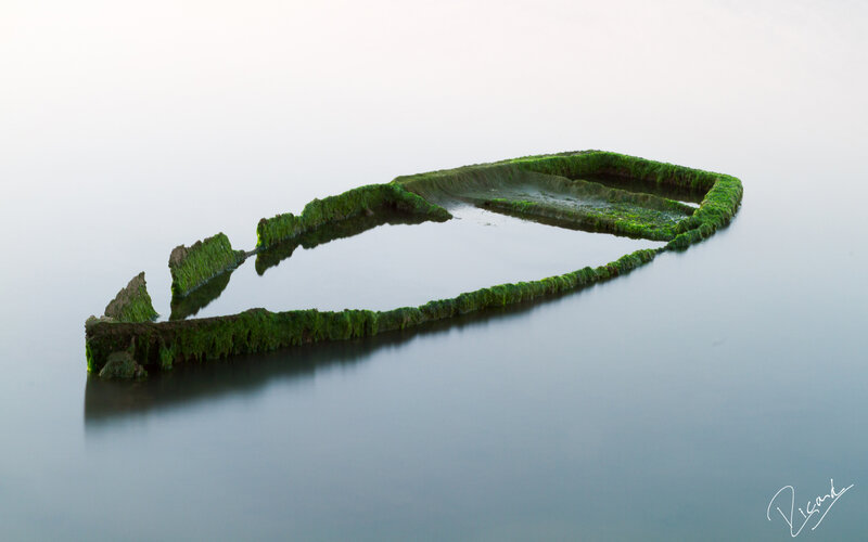 Shipwreck in Water — Green