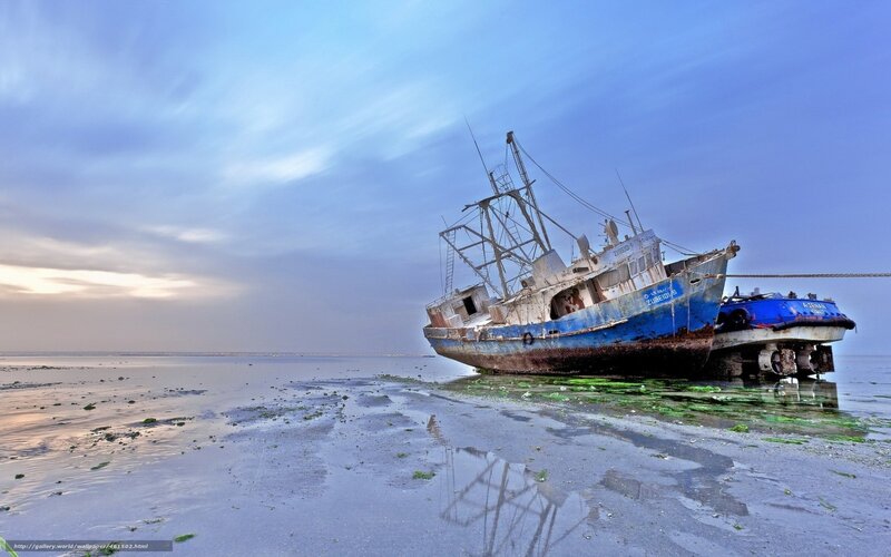shipwreck on a beach