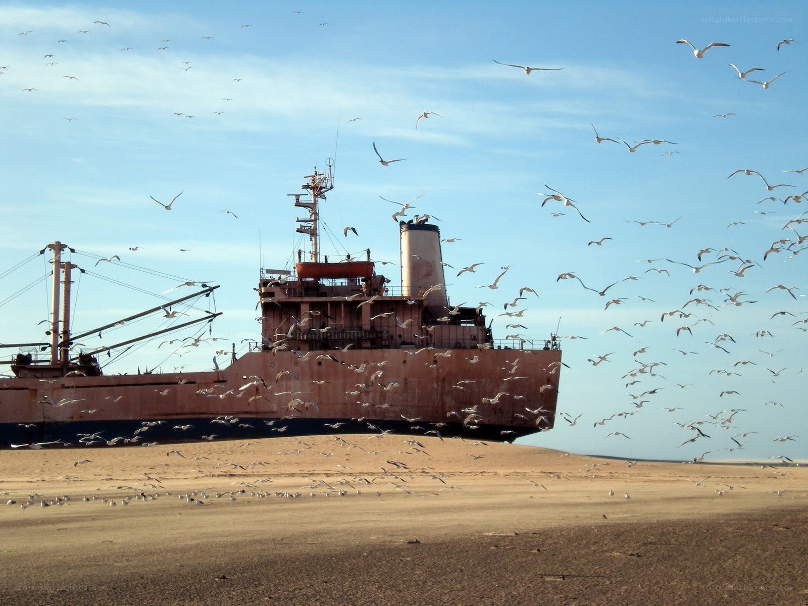 shipwreck on a sandy beach