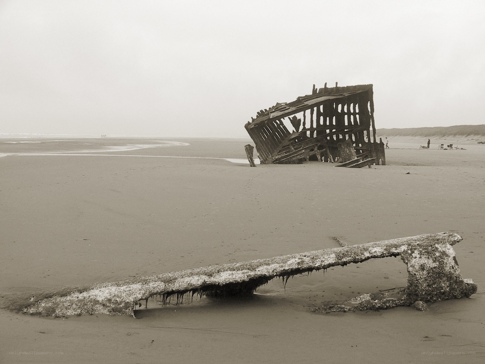 Shipwreck on a sandy beach