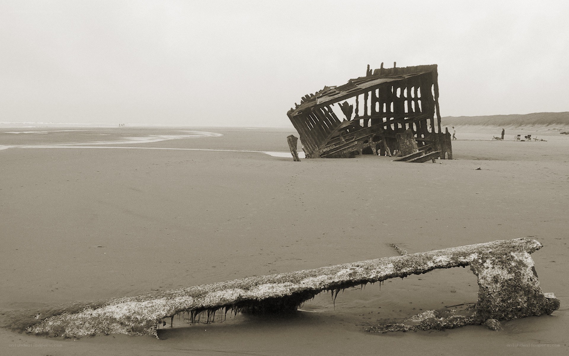 Shipwreck on a sandy beach