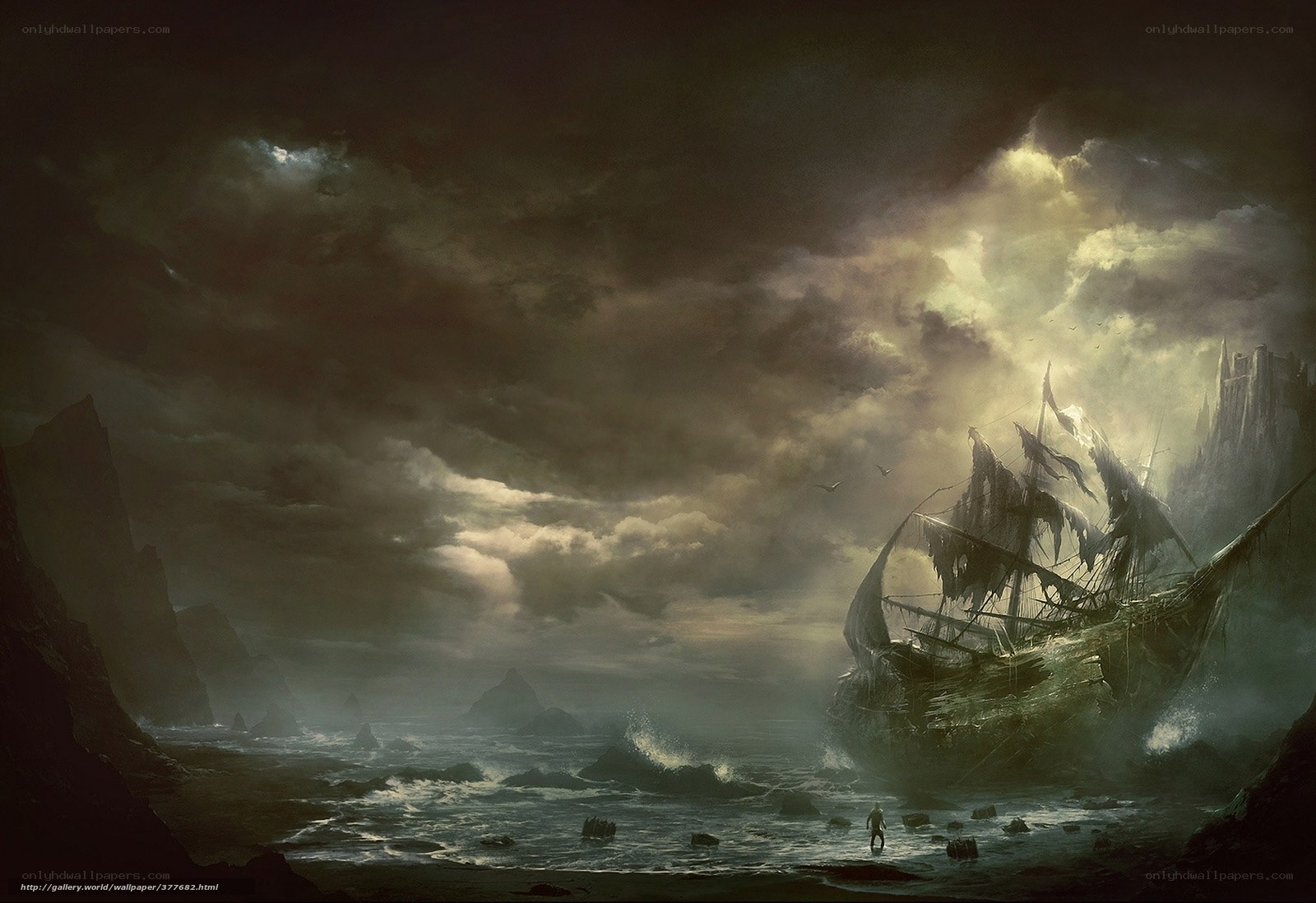 Shipwreck on a stormy coast