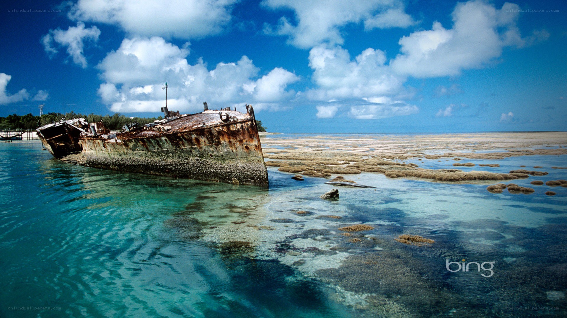 shipwreck on a tropical shore