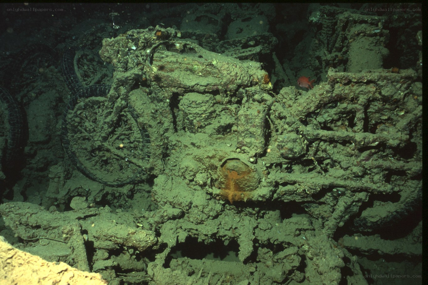 shipwreck on ocean floor