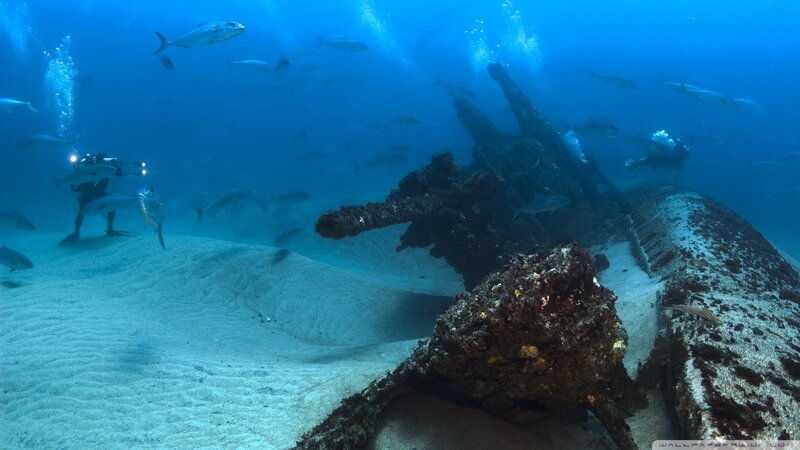 Shipwreck on Ocean Floor — Blue, Serene