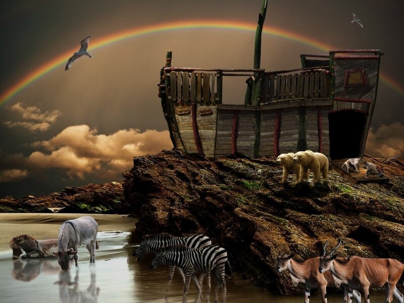 Shipwreck on Rocky Shore — Brown, Dramatic
