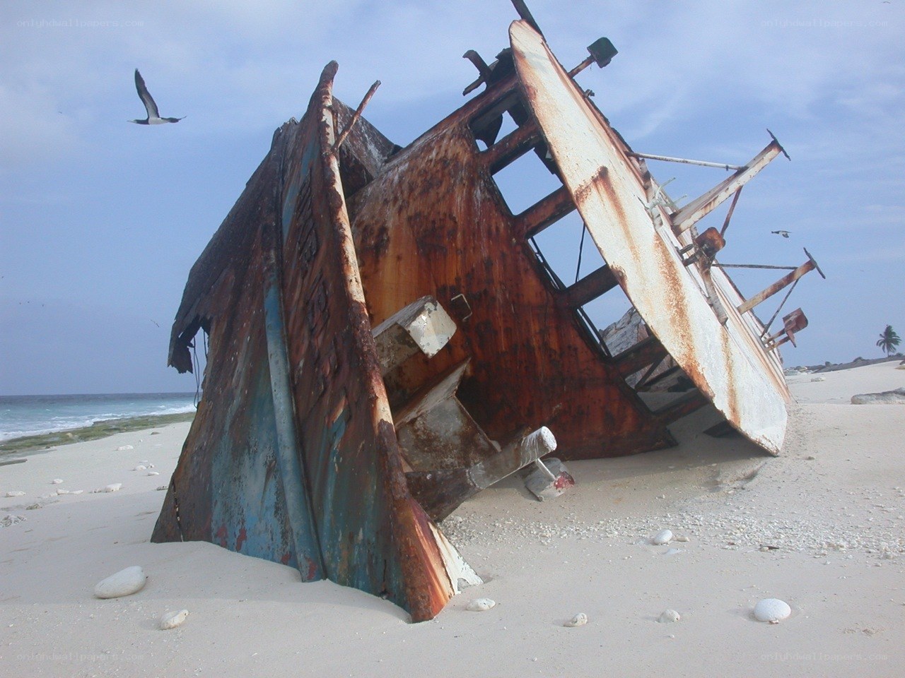 shipwreck on sandy beach
