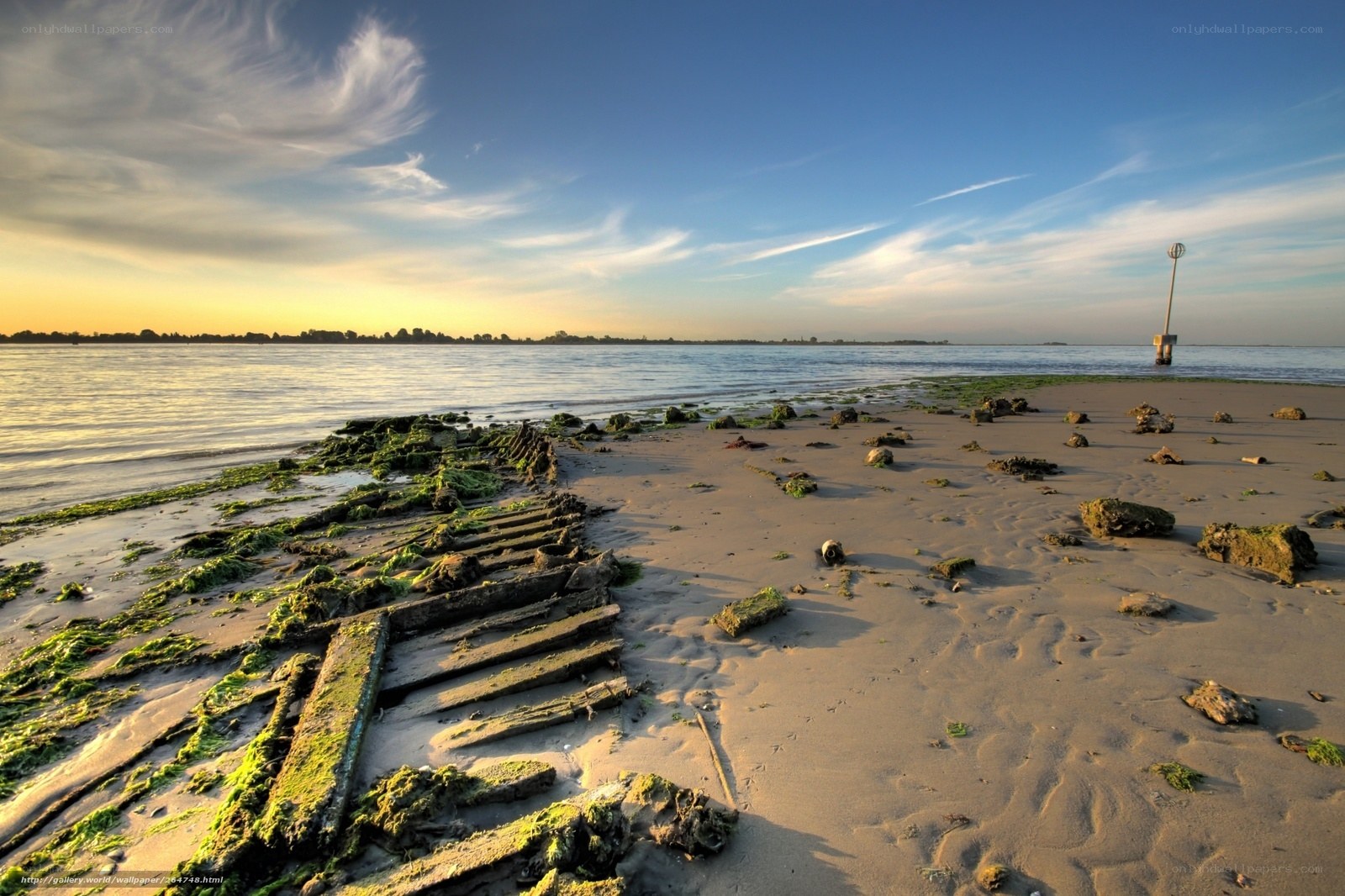 shipwreck on sandy beach