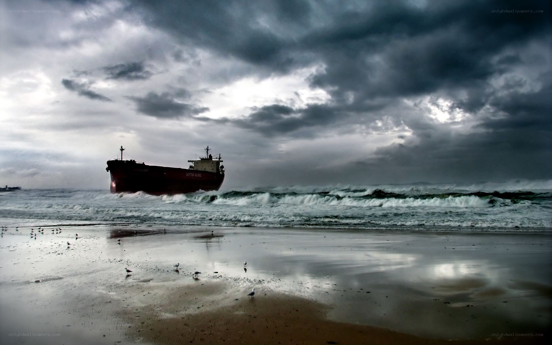 Shipwreck on stormy beach