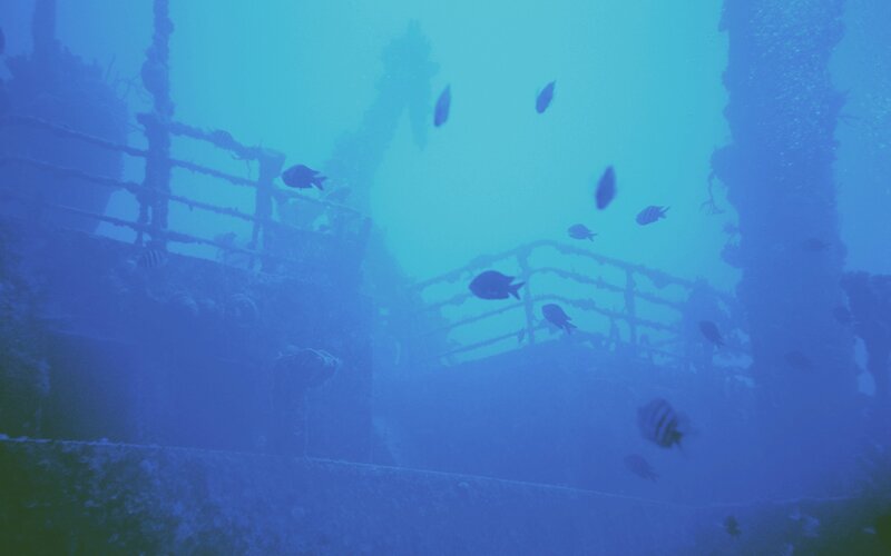 Shipwreck Underwater — Blue, Serene, Photograph, Fish