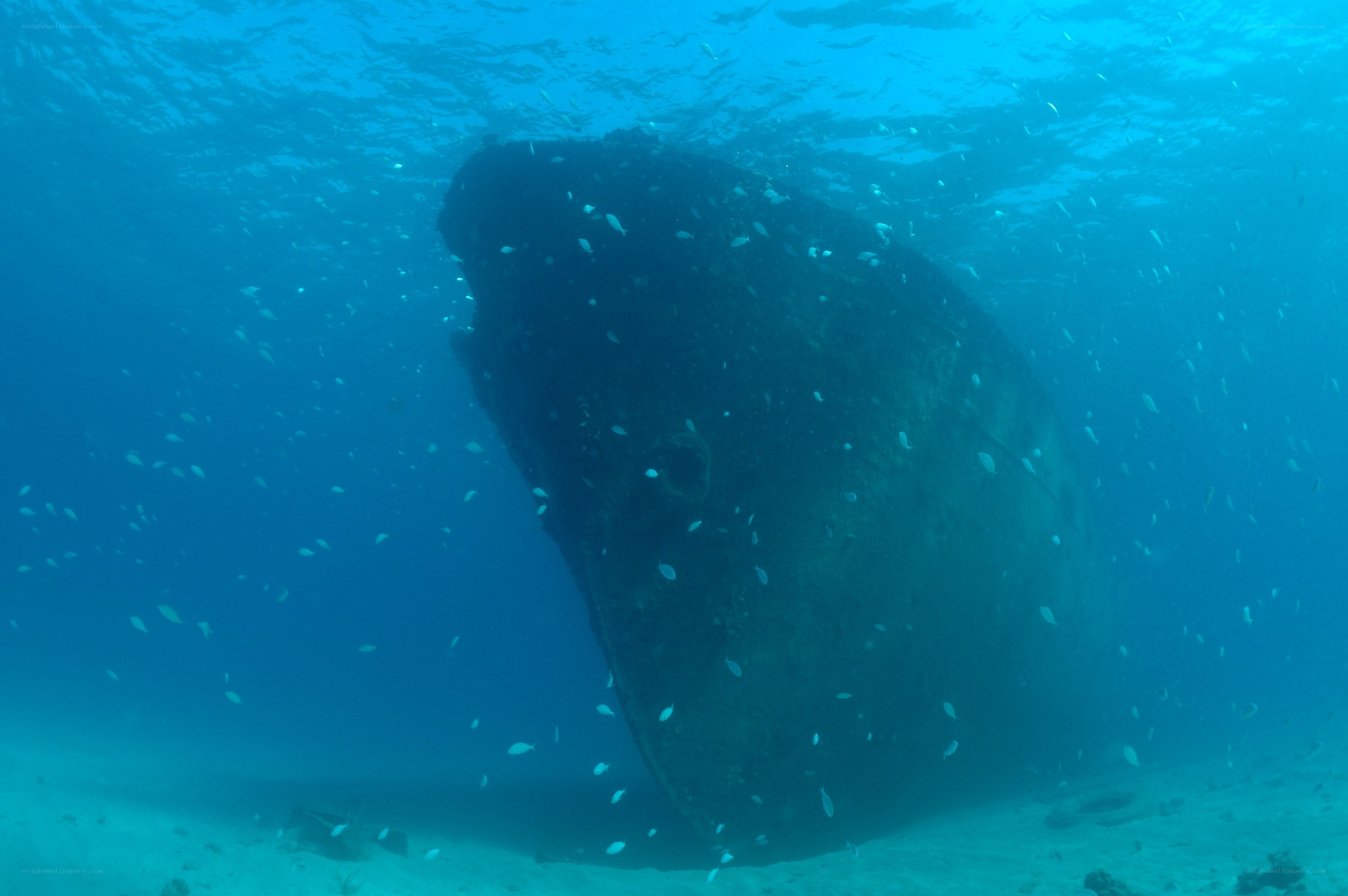 shipwreck underwater scene