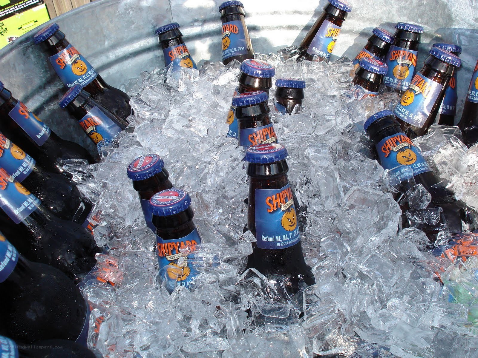 Shipyard beer bottles in ice