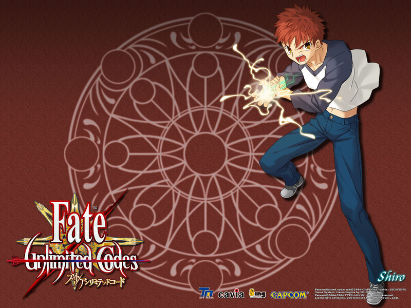 Shiro from Fate/Unlimited Codes