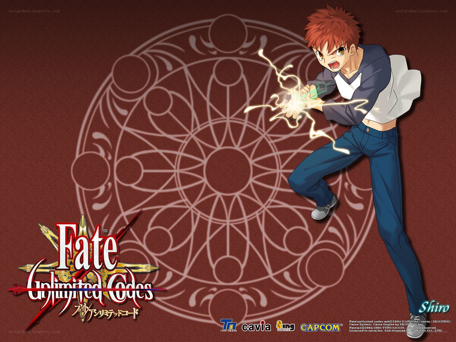Shiro from Fate/Unlimited Codes