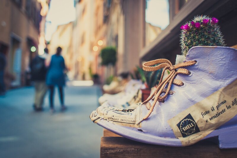 Shoe art with cactus in alley