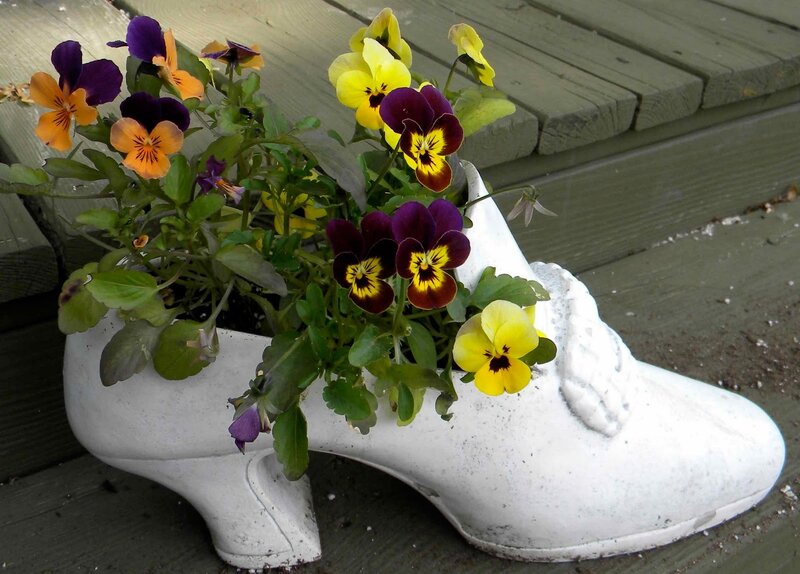 Shoe Planter with Flowers