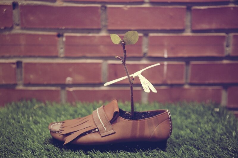 Shoe turned into a planter