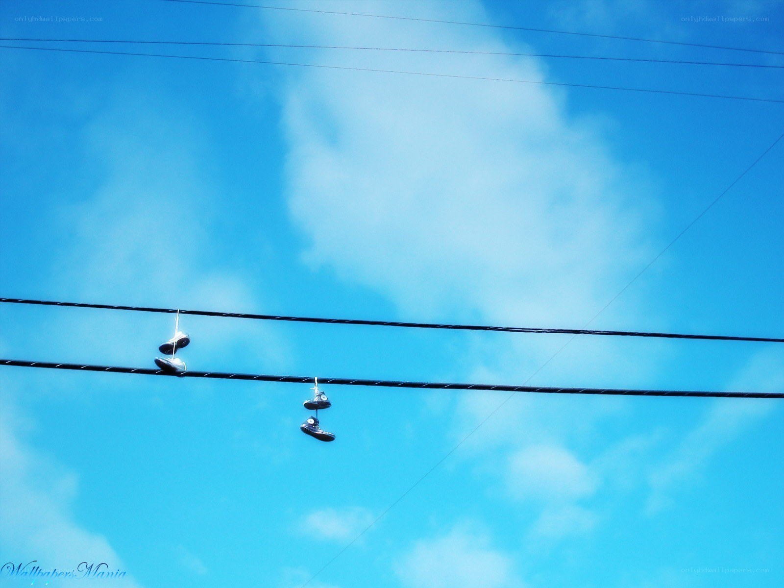 Shoes hanging on power lines