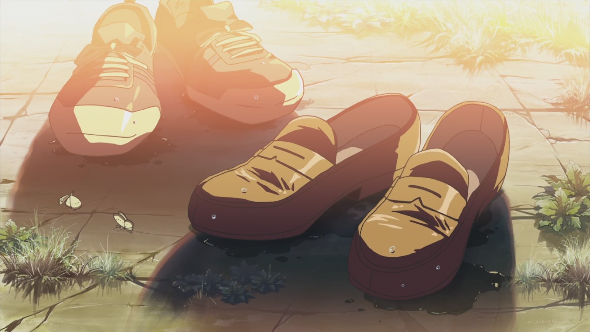 Shoes in the sunlight