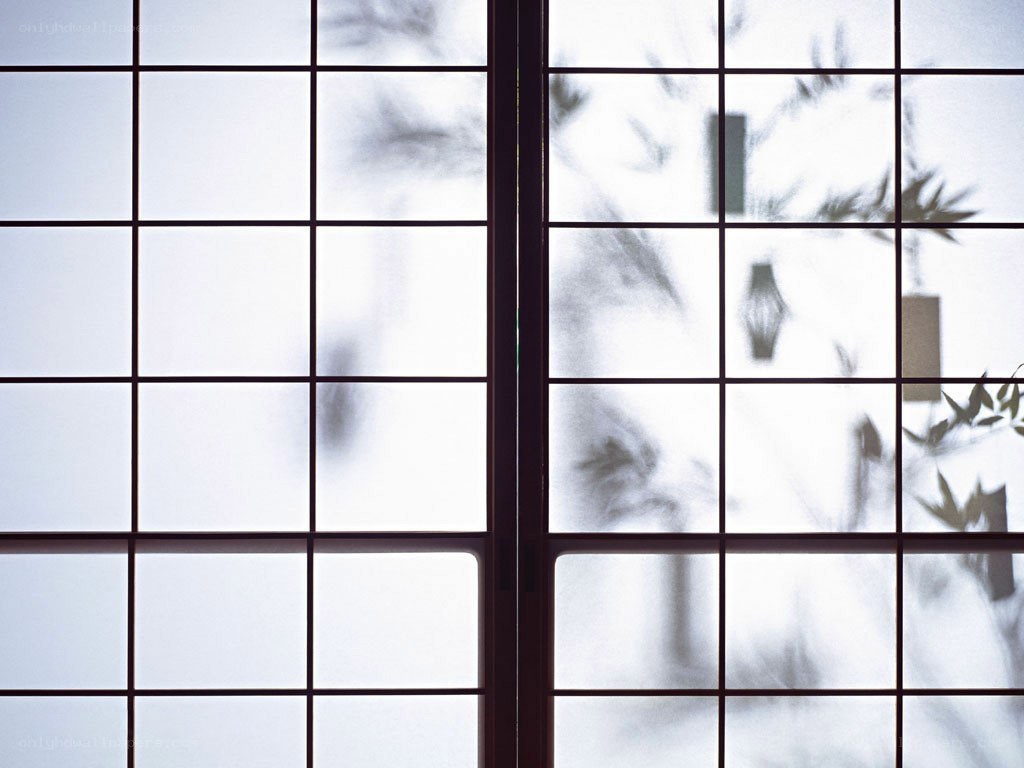 Shoji screen with bamboo shadows