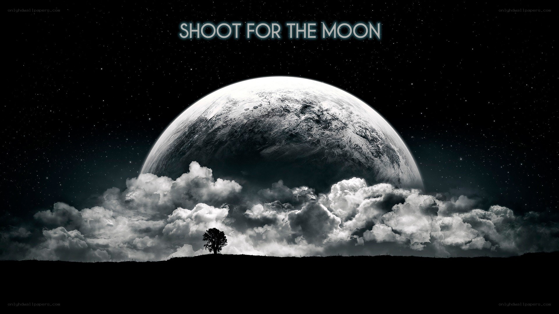 Shoot For The Moon