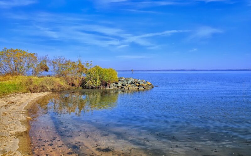 Shoreline with Rocks and Water