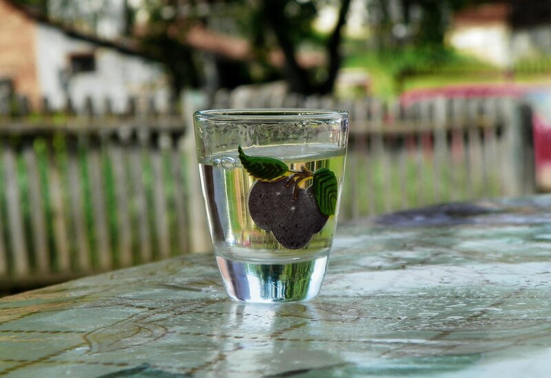 Shot Glass with Plum