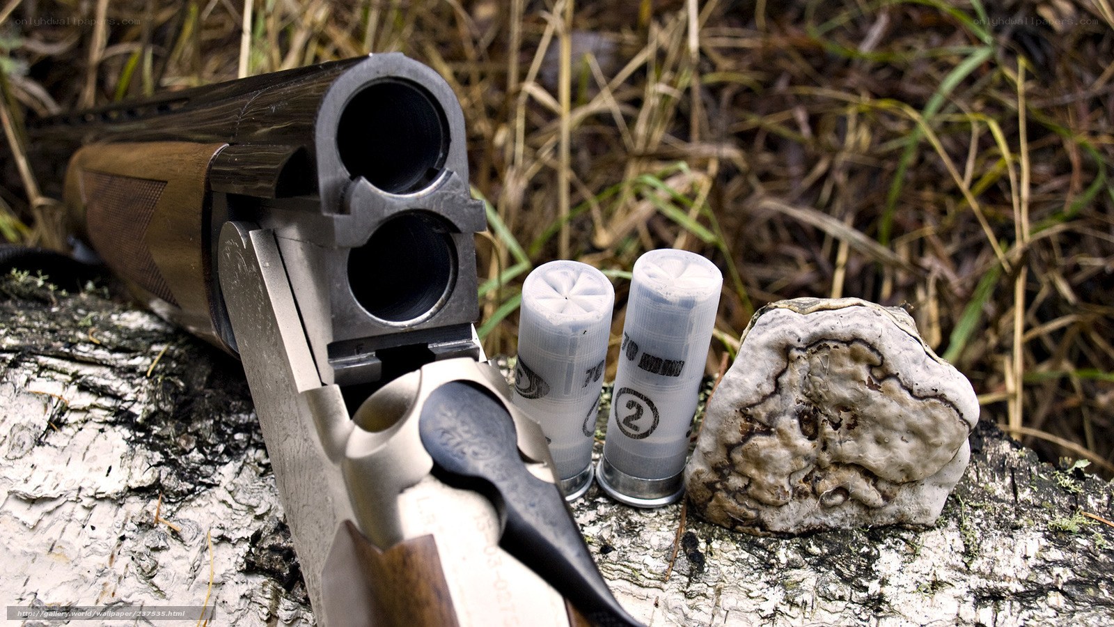 Shotgun and shells on log