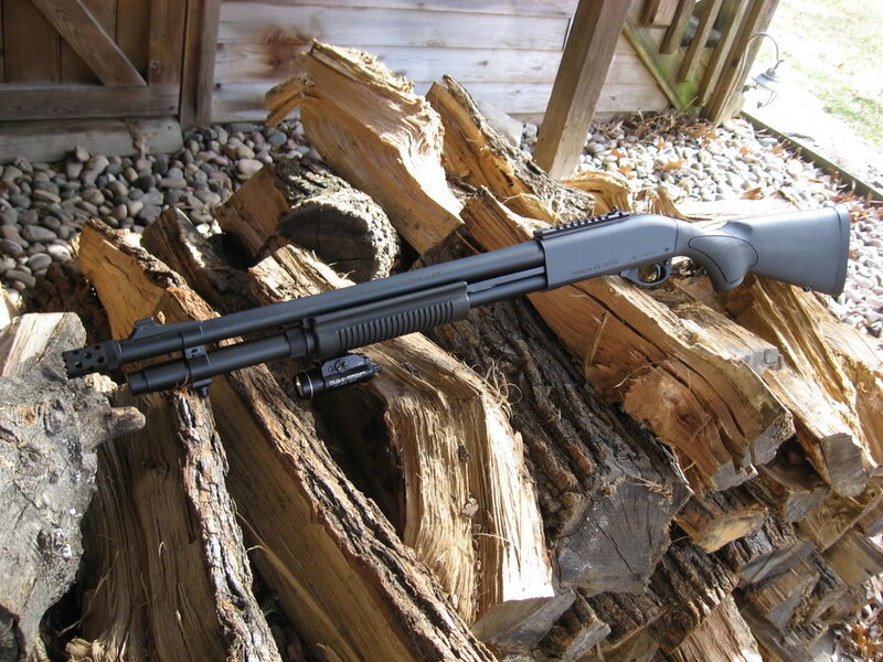 Shotgun on Firewood