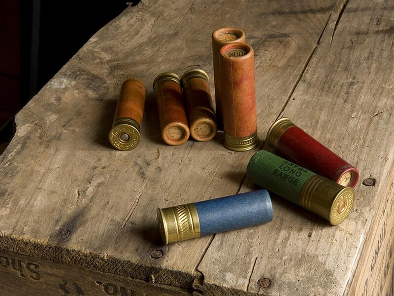 Shotgun Shells on Wood
