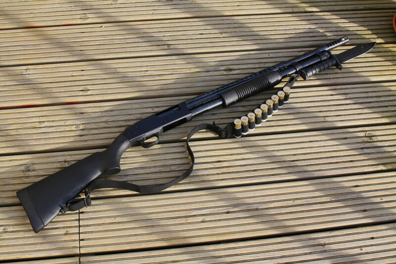 shotgun with ammunition