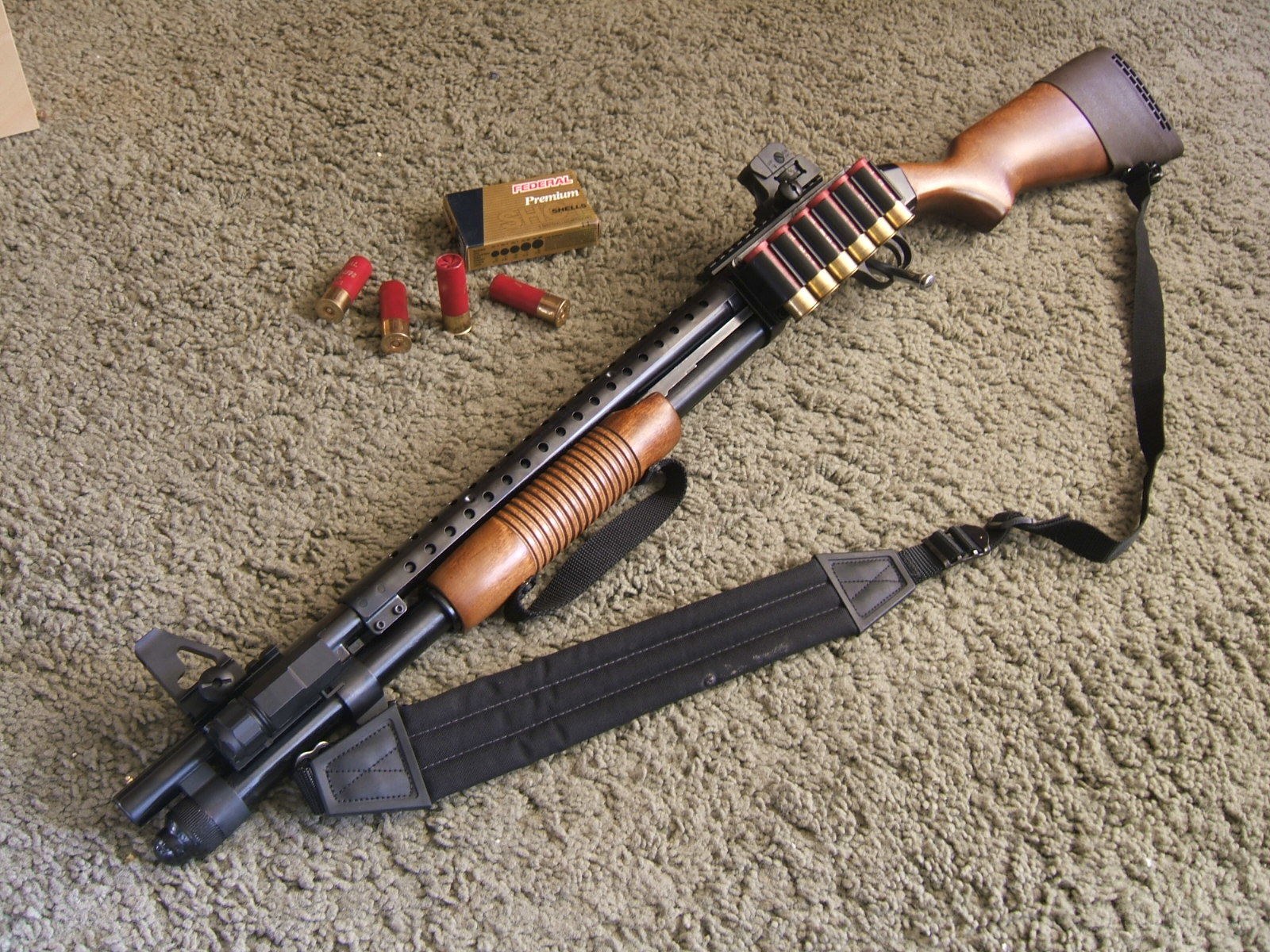 shotgun with ammunition