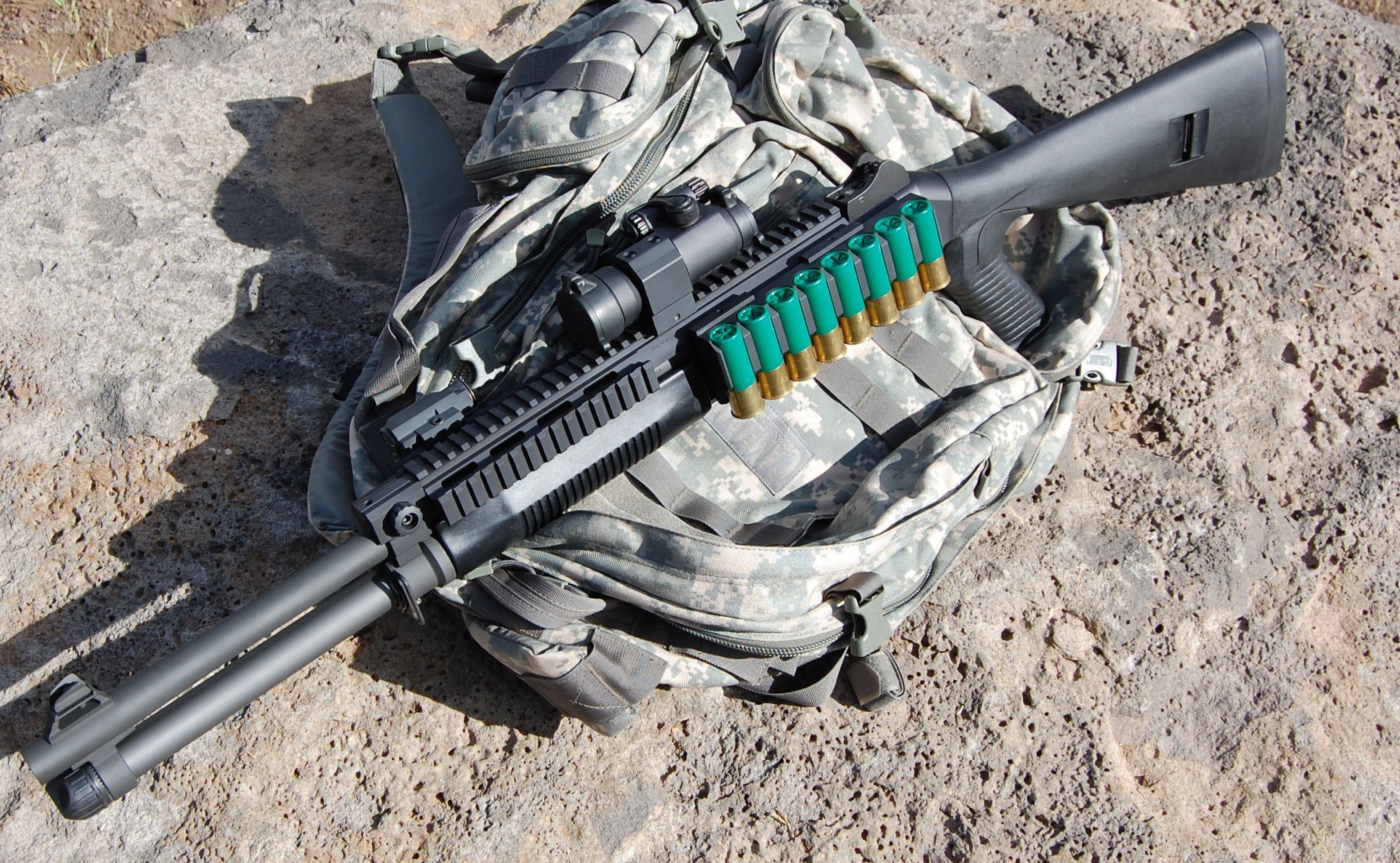 shotgun with ammunition