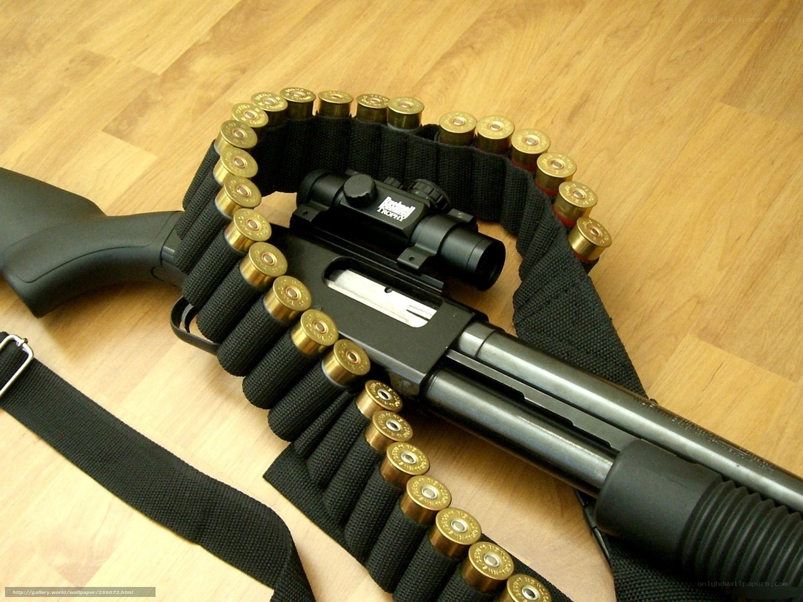 shotgun with ammunition bandolier