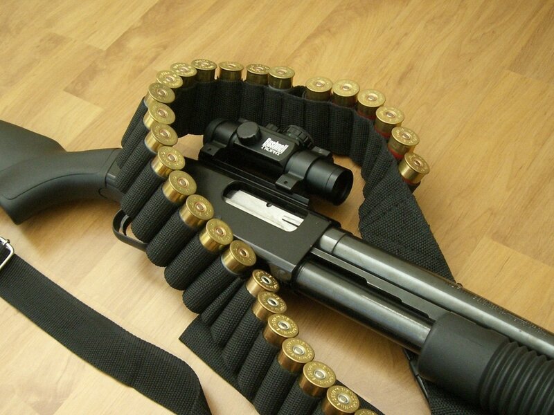 Shotgun with Ammunition — Black, Neutral, Photograph