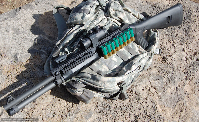 shotgun with ammunition