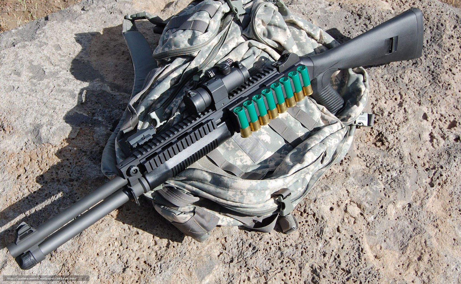 shotgun with ammunition