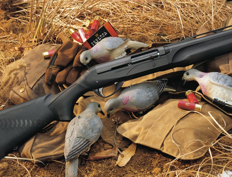 Shotgun with dove decoys