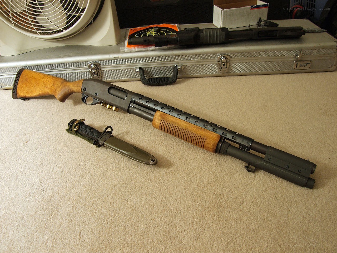 Shotgun with knife on carpet