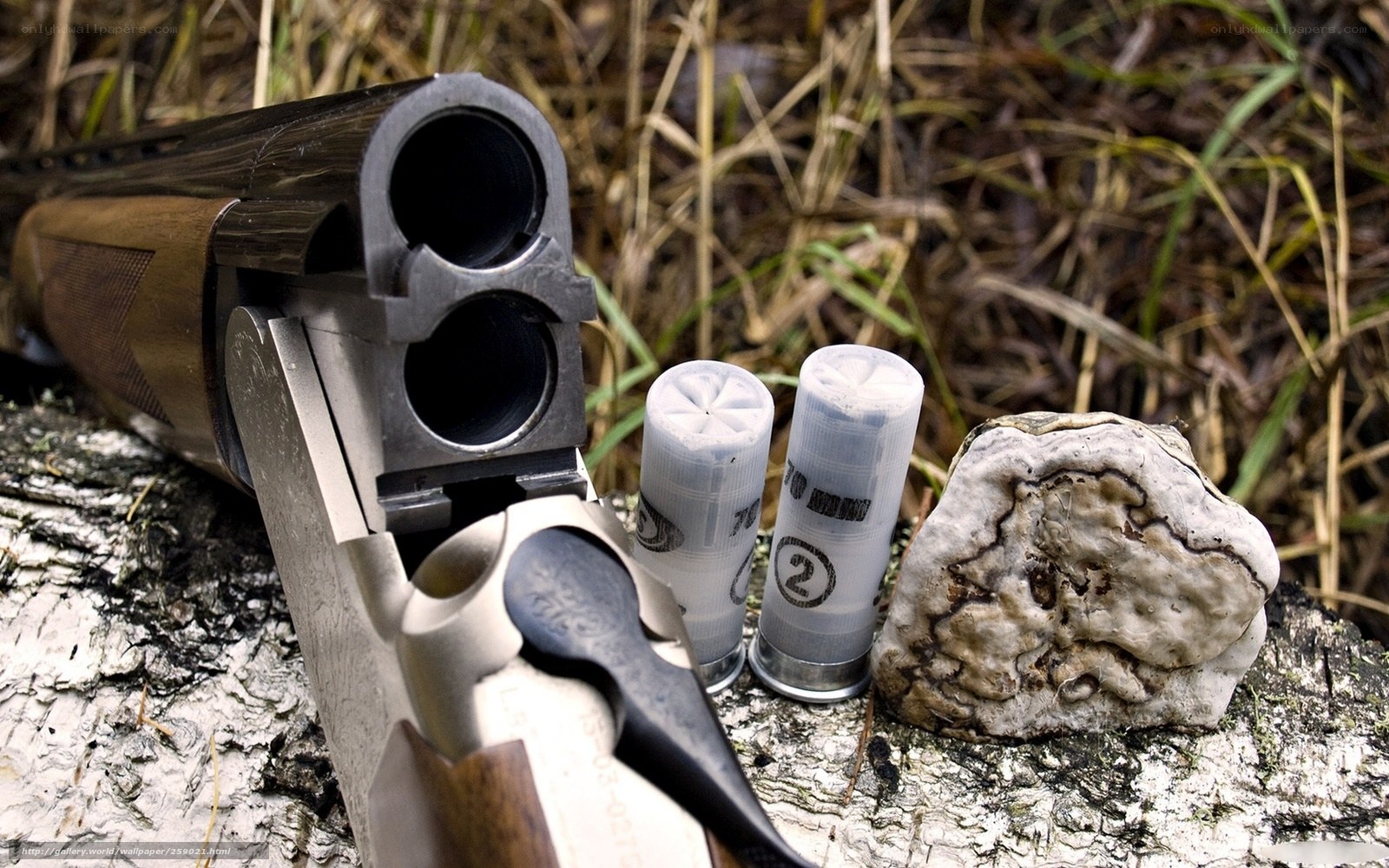 Shotgun with shells on log