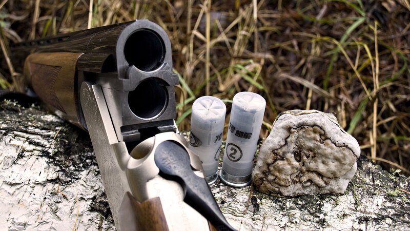 Shotgun with Shells