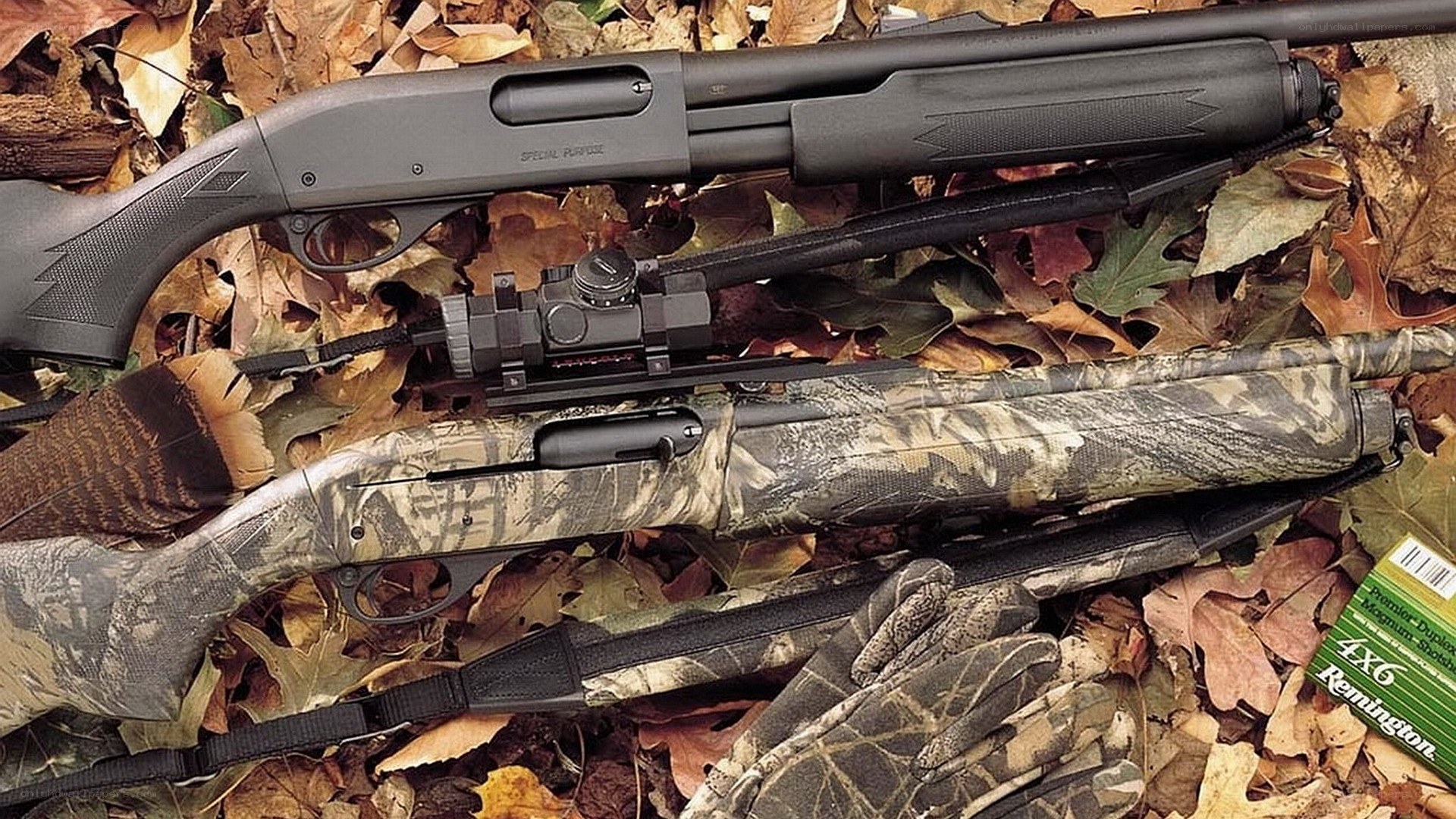 shotguns on autumn leaves