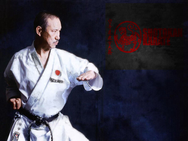 Shotokan Karate Master in Action