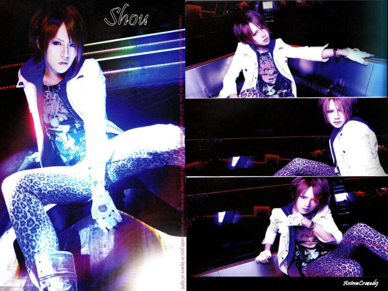 Shou in leopard print