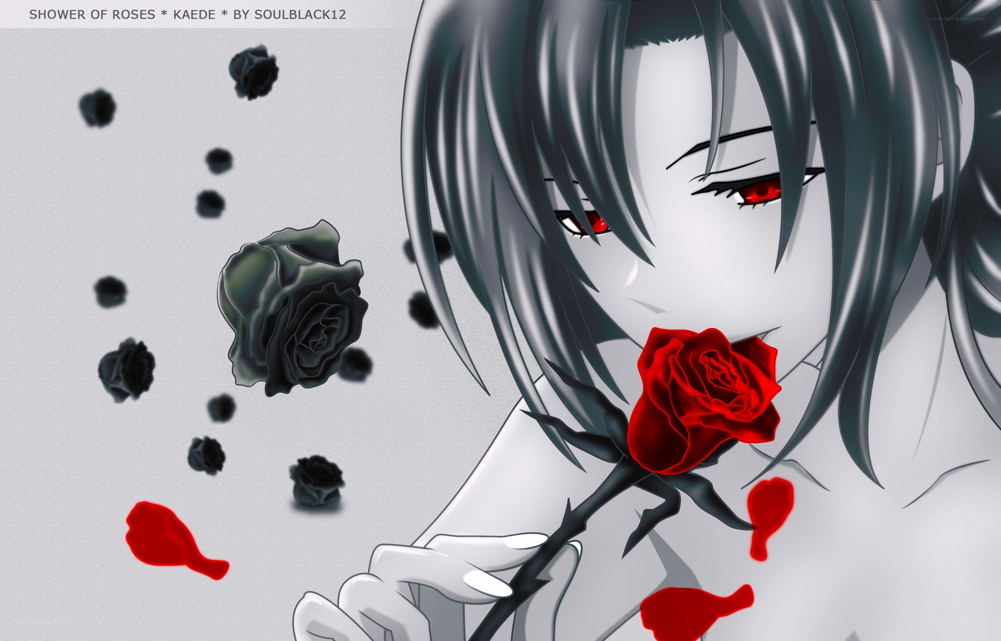 Shower of Roses